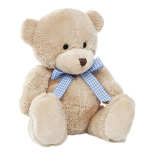 Teddy bear