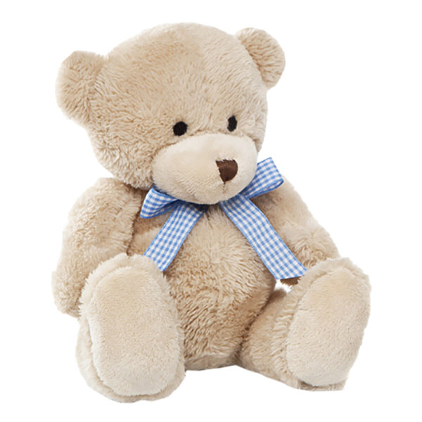 Teddy bear