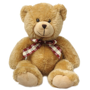 Teddy bear